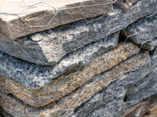 Old NE Thin Gallery 2 600 x 450